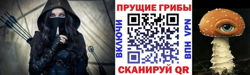 Купить где  Рыльск  Галлюциногенные грибы прущие грибы 